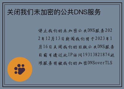 关闭我们未加密的公共DNS服务 