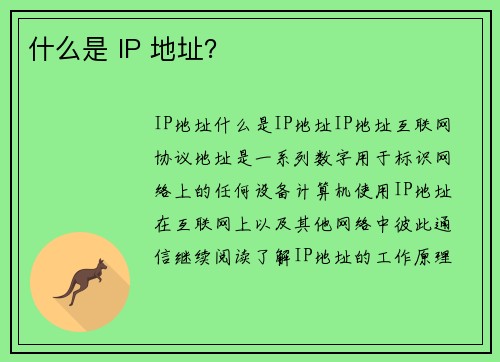 什么是 IP 地址？