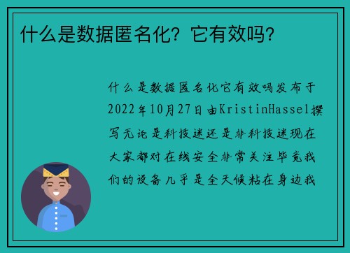 什么是数据匿名化？它有效吗？